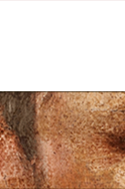 gb