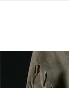 gb